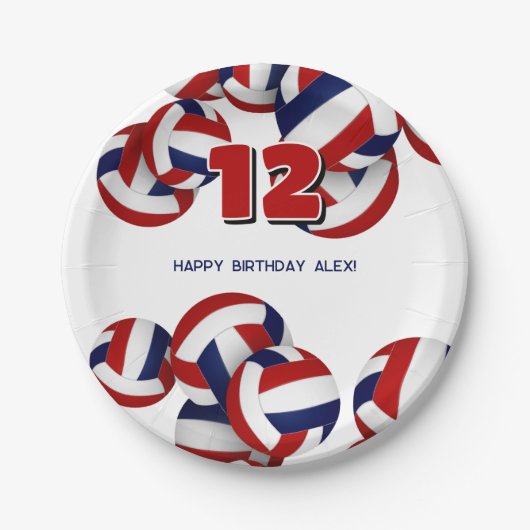 Red Blue Volleyballs Jongens Meisjes Verjaardagsfe Papieren Bordje (Voorkant)