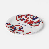 Red Blue Volleyballs Jongens Meisjes Verjaardagsfe Papieren Bordje (Gekanteld)