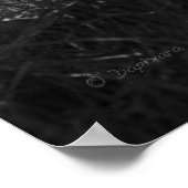 Red Boat Poster (Hoek)