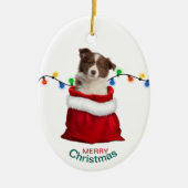 Red Border Collie Puppy in Holiday Gift Bag Keramisch Ornament (Voorkant)