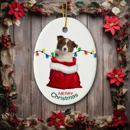 Red Border Collie Puppy in Holiday Gift Bag Keramisch Ornament