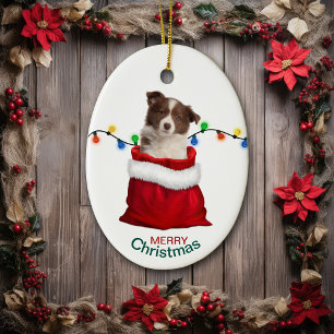 Red Border Collie Puppy in Holiday Gift Bag Keramisch Ornament