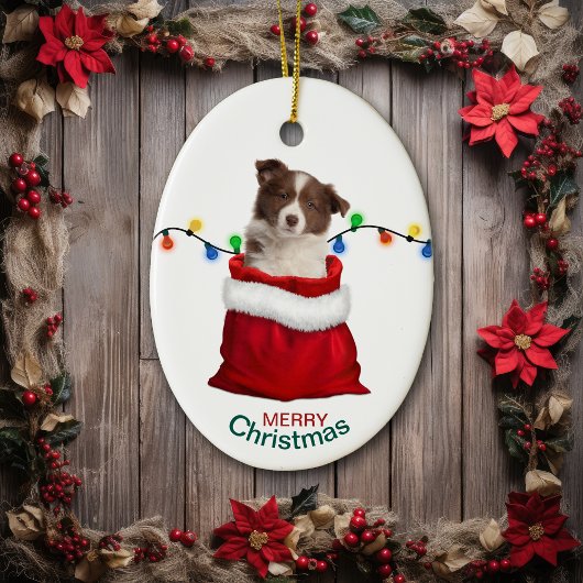 Red Border Collie Puppy in Holiday Gift Bag Keramisch Ornament
