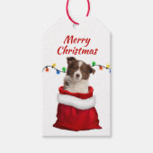 Red Border Collie Puppy in Santa Bag Cadeaulabel (Voorkant)