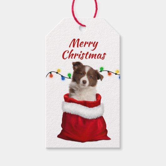 Red Border Collie Puppy in Santa Bag Cadeaulabel (Voorkant)