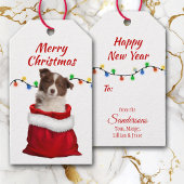 Red Border Collie Puppy in Santa Bag Cadeaulabel