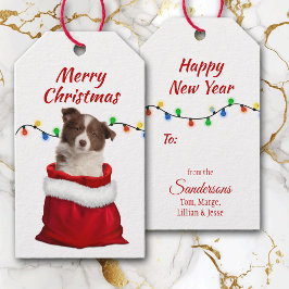 Red Border Collie Puppy in Santa Bag Cadeaulabel