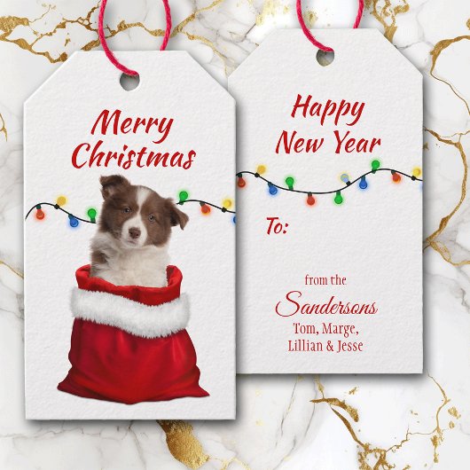 Red Border Collie Puppy in Santa Bag Cadeaulabel