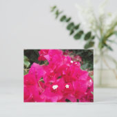 Red Bougainvillea Briefkaart (Staand voorkant)