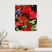 Red Bouganvilla Poster (Keuken)