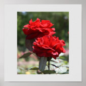 Red Bouquet Print (Voorkant)