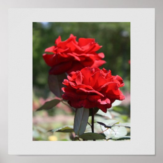Red Bouquet Print (Voorkant)