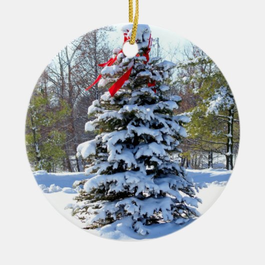 Red Bow Evergreen Keramisch Ornament (Voorkant)