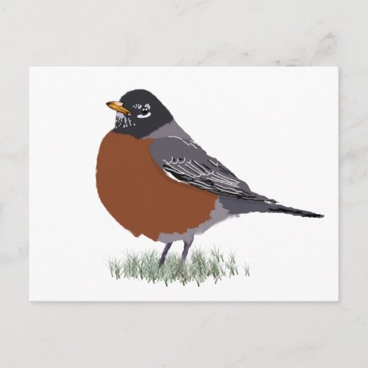 Red Breasted American Robin Digitally Drawn Bird Briefkaart (Voorkant)