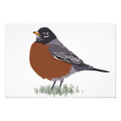 Red Breasted American Robin Digitally Drawn Bird Foto Afdruk (Voorkant)