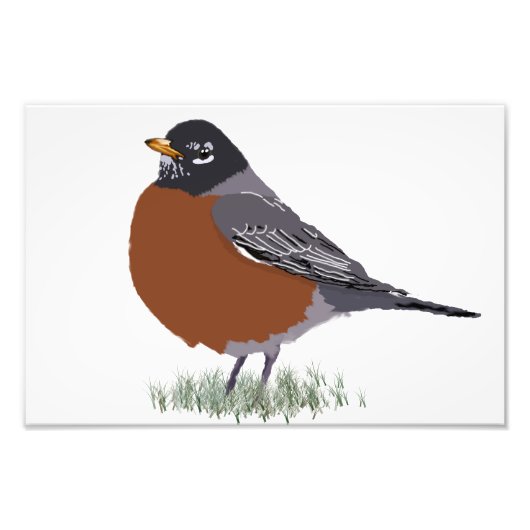 Red Breasted American Robin Digitally Drawn Bird Foto Afdruk (Voorkant)