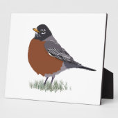 Red Breasted American Robin Digitally Drawn Bird Fotoplaat (Zijkant)