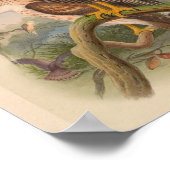 Red Breasted Hawk Bird  Art Print (Hoek)