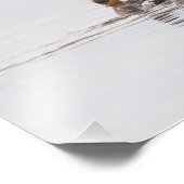 Red Breasted Merganser Foto afdrukken (Hoek)