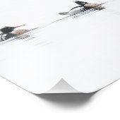 Red Breasted Merganser Foto van Foggy Lake Foto Afdruk (Hoek)