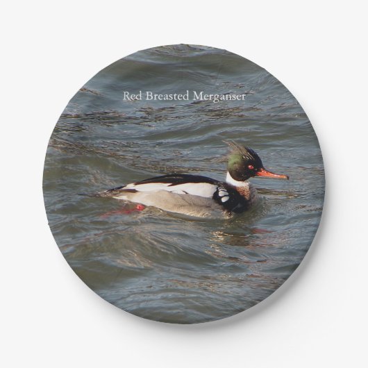 Red Breasted Merganser papier bord (Voorkant)