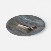 Red Breasted Merganser papier bord (Gekanteld)