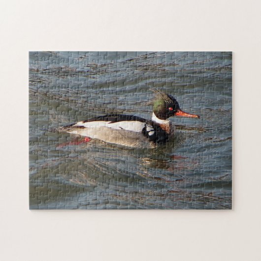 Red Breasted Merganser puzzel (Horizontaal)