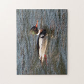 Red Breasted Merganser puzzel (Verticaal)