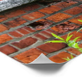 Red Brick Walls & Arches foto-poster Poster (Hoek)