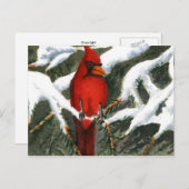 "Red" Briefkaart landwegen (Voorkant / Achterkant)