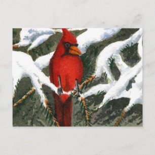 "Red" Briefkaart landwegen