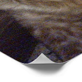 Red Brittany Spaniel dog épagneul breton roux Poster (Hoek)