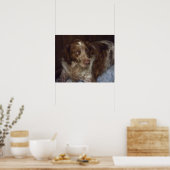 Red Brittany Spaniel dog épagneul breton roux Poster (Keuken)