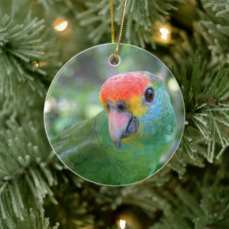 Red Browed Amazon Parrot II Keramisch Ornament