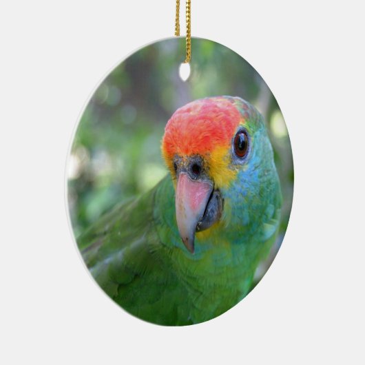 Red Browed Amazon Parrot II Keramisch Ornament (Rechts)