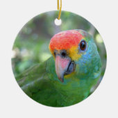 Red Browed Amazon Parrot II Keramisch Ornament (Voorkant)