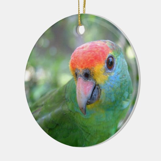 Red Browed Amazon Parrot II Keramisch Ornament (Links)