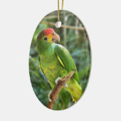 Red Browed Amazon Parrot Keramisch Ornament (Links)