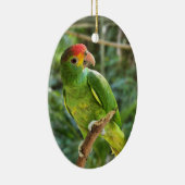 Red Browed Amazon Parrot Keramisch Ornament (Rechts)