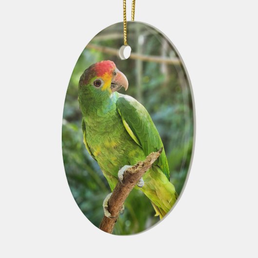 Red Browed Amazon Parrot Keramisch Ornament (Links)