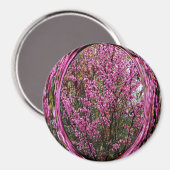 Red Bud-boom.... Magneet (Voorkant / Achterkant)