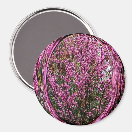 Red Bud-boom.... Magneet (Voorkant / Achterkant)