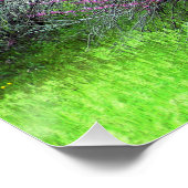 Red Bud-boom.... Poster (Hoek)