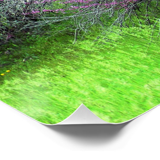 Red Bud-boom.... Poster (Hoek)