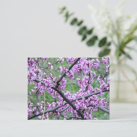 Red Bud Tree Briefkaart (Staand voorkant)