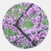 Red Bud Tree Ronde Sticker (Voorkant)