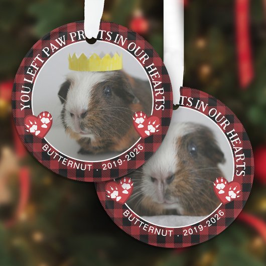 Red Buffalo Check Paws Guinee Pig Memorial Foto Ornament