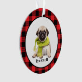 Red Buffalo Plaid Custom Pet Foto Ornament (voorkant)