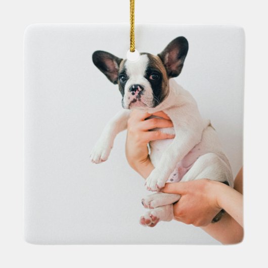 Red Buffalo Play Dog Foto | Merry Woofmas Keramisch Ornament (Achterkant)