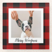 Red Buffalo-speldengoed met wiegfoto Glazen Onderzetter (Voorkant)